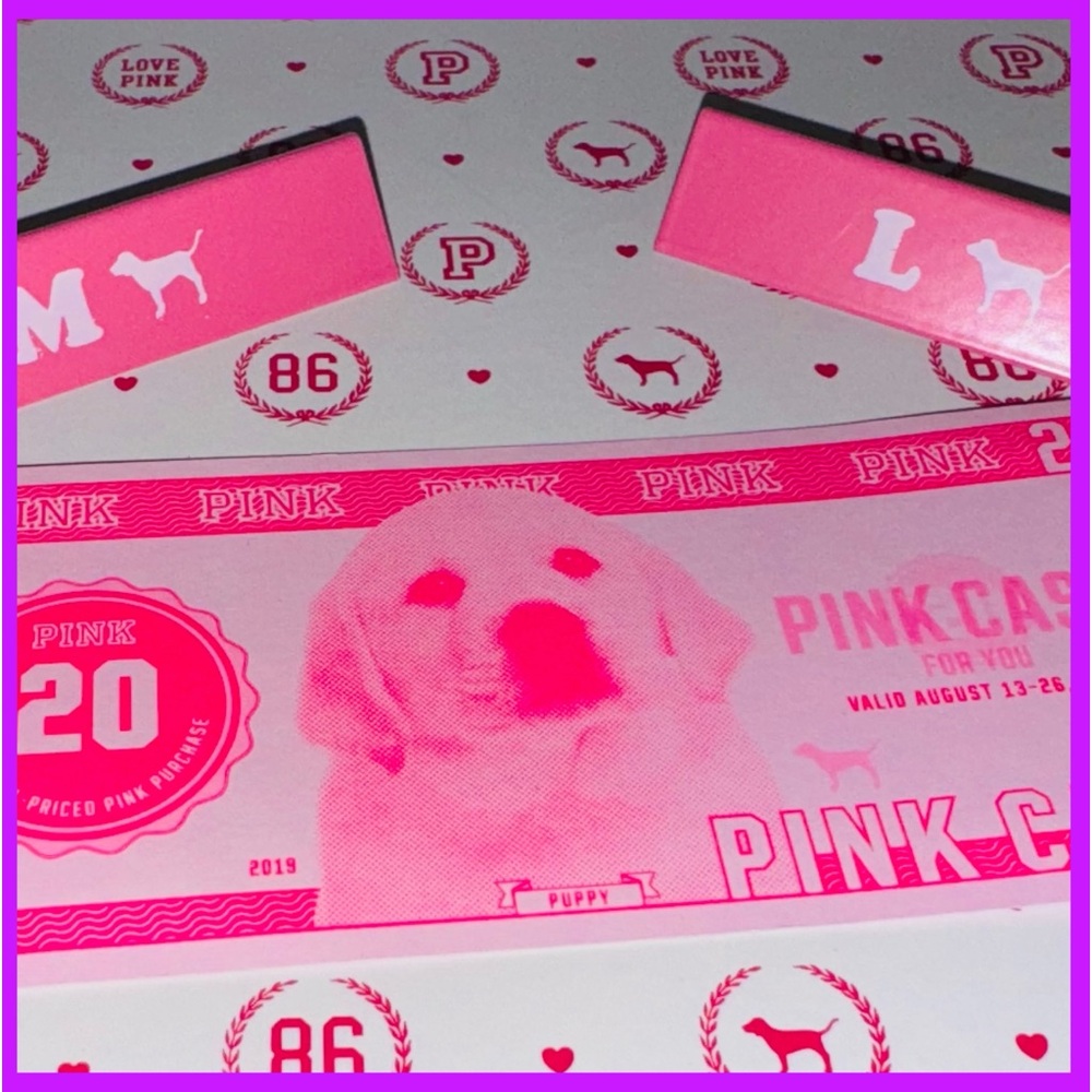 🩷NEW VS PINK CASH MONEY🩷